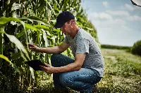 Airbus and Climate join forces to empower farmers with reliable satellite imagery