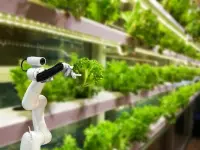 Agroalimentare intelligenza artificiale