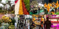 Myplant & Garden VII edizione ai blocchi di partenza a FieraMilano dal 22 al 24 febbraio 2023