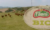 fileni bio