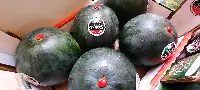 Il cocomero Dolce Passione