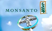 Bayer e Monsanto