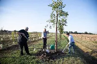 Alessio Mammi, Assessore all'agricoltura Emilia-Romagna e Giovanni Bettini presidente Clai e il Vescovo di Imola, Giovanni Mosciatti