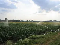 Irrigazione efficiente