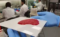carne laboratorio