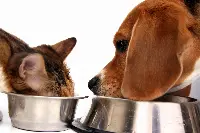 Animali da compagnia e pet food