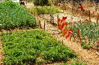 Agricoltura biodinamica