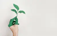 sustainability_greenwashing-scaled