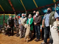 fiera internazionale tartufo bianco d'alba
