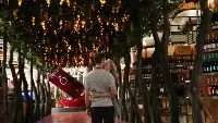 Bologna in vino