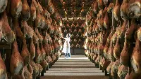 Accademia del Prosciutto San Daniele