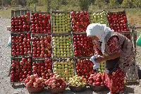 Vendita frutta in Uzbekistan
