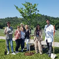 La pianta dell'anno 2022 nel Campus Cameo