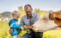 Progetto clima Nestlé e emmi