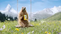 Ricola_Marmot