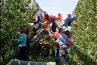 Agricoltori in Trentino