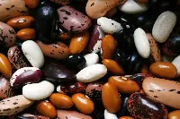 Fagioli legumi