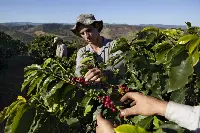 Lavazza_Tierra_Farmer