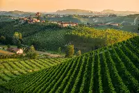 Barolo Piemonte