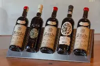 Bottiglie Ferraris Agricola