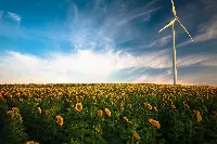 Pala eolica in un campo di girasoli