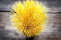 Spaghetti