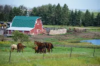 Fattoria in North Dakota