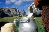 Latte e formaggi di montagna