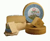 Formaggio Asiago Dop fresco e stagionato