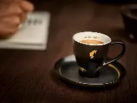 Julius Meinl 1862 Vienna