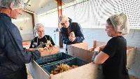 Vaccinazione anti-aviaria ai palmipedi in Francia