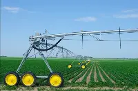 Innovazione agricola in Arabia Saudita