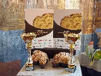 Le migliori colombe d'Italia premiate dalla Fipgc a Ercolano il 3/3/2021