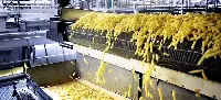 Impianto di produzione di patatine fritte