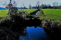 Irrigazione