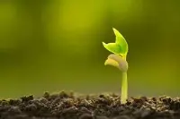 Bio
