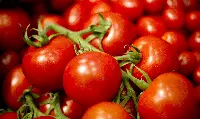 Pomodoro
