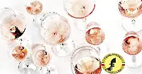Consorzio Doc delle Venezie e Centro Ricerca Viticoltura ed Enologia di Conegliano insieme per selezionare i cloni migliori destinati alla produzione della tipologia rosata di Pinot grigio