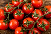 Pomodoro Pachino Igp