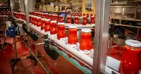Lavorazione passata di pomodoro, stabilimento Conserve Italia di Albinia (GR)