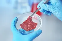 carne Sintetica