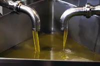 Estrazione dell'olio