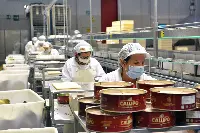 Linea di produzione Callipo