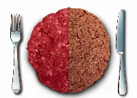 fake meat