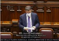Patuanelli (Mipaaf) riferisce alla Camera dei deputati