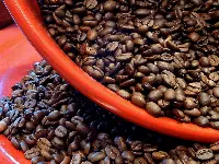 caffè