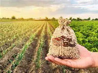 Contributi all'agricoltura e all'agroalimentare