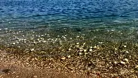 Pane nel lago di Arona (Novara)