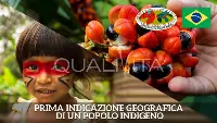 Guarana-Brasile