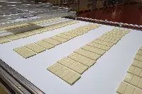 Produzione tavolette di cioccolato bianco della Nestlè